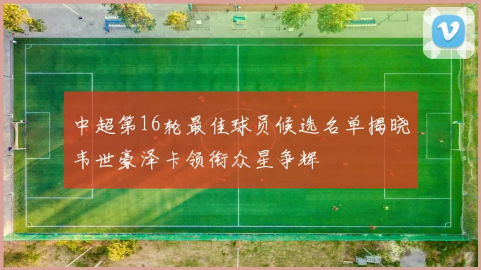 中超第16轮最佳球员候选名单揭晓韦世豪泽卡领衔众星争辉